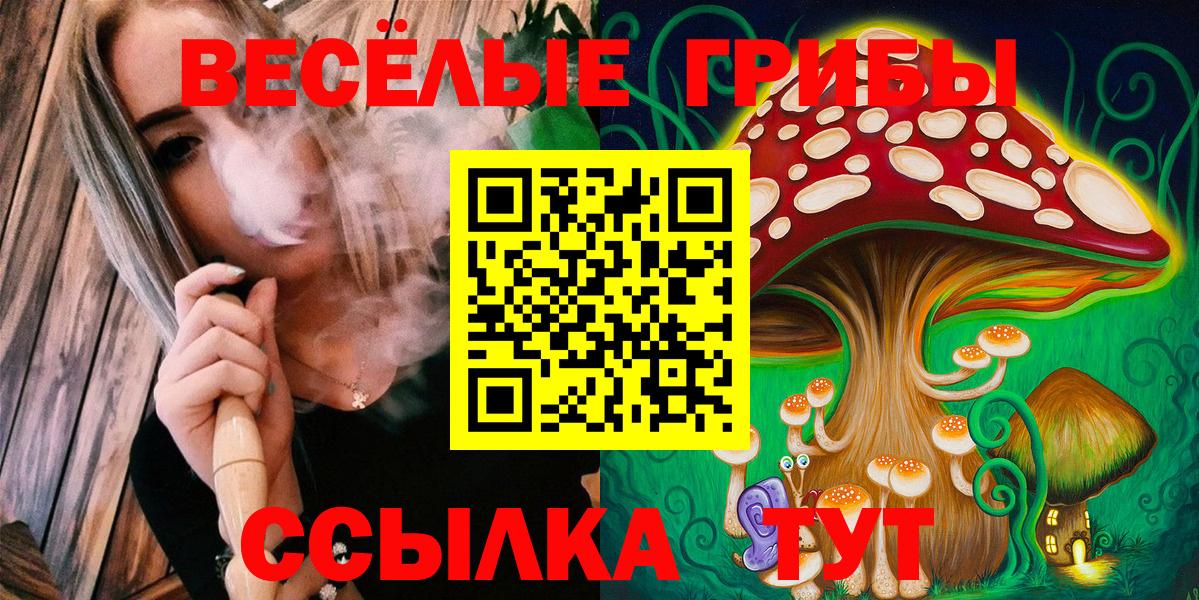 Кимовск  Псилоцибиновые грибы MAGIC MUSHROOMS  Вход с VPN  Псилоцибиновые грибы Cubensis 