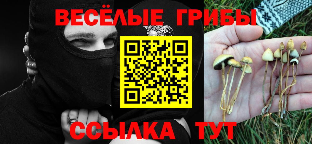 Галлюциногенные грибы MAGIC MUSHROOMS Кимовск