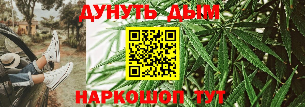 Каннабис конопля Кимовск